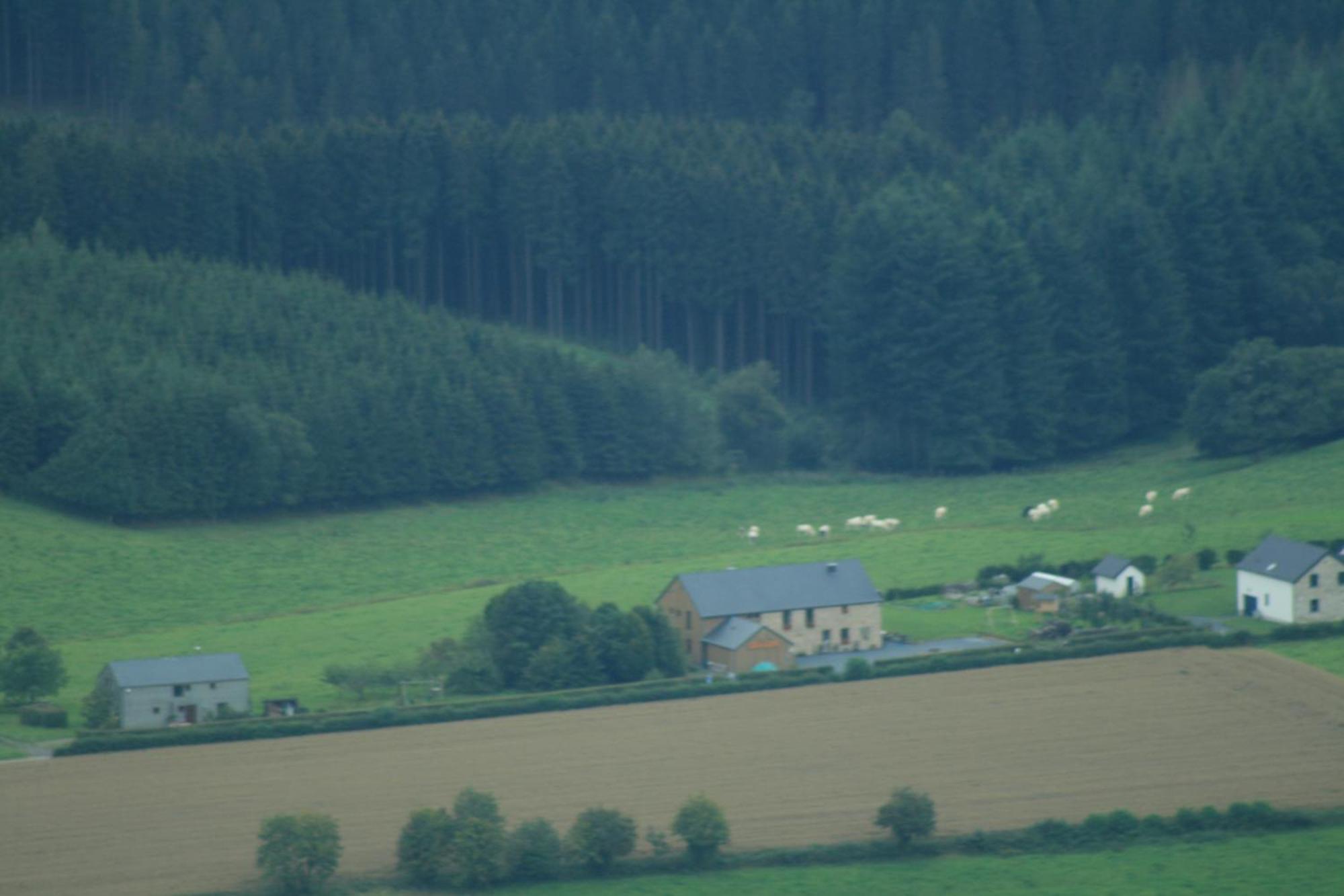 Chambres D'Hotes Les Trappeurs Silence & Nature Tenneville Luaran gambar